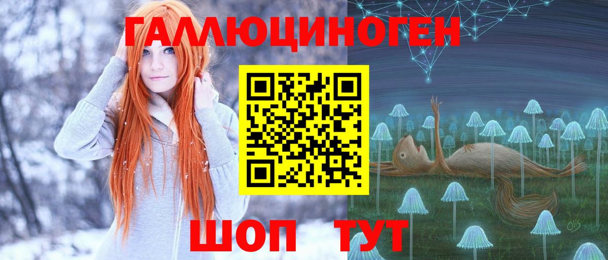 Псилоцибиновые грибы Psilocybe Ульяновск