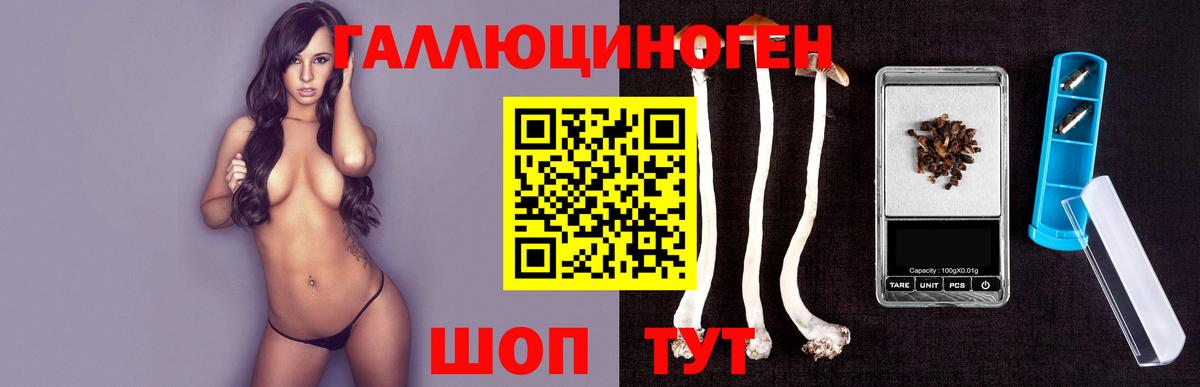 Галлюциногенные грибы прущие грибы  Псилоцибиновые грибы Psilocybe  Вход с VPN  где найти наркотики  Ульяновск 